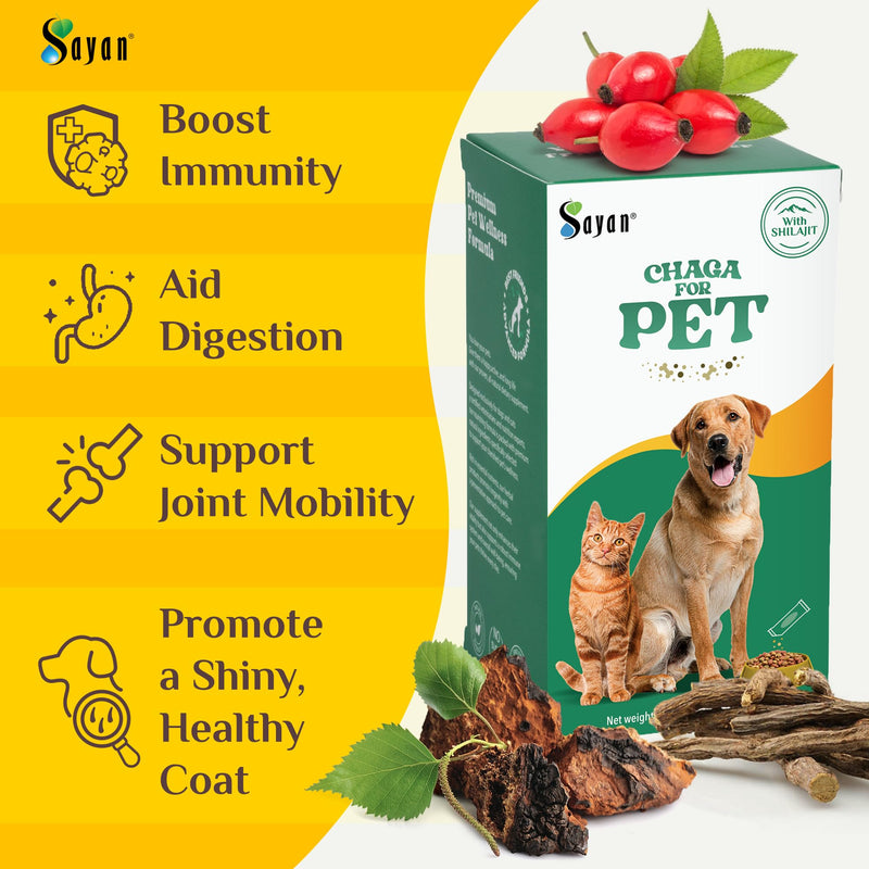 Sayan Chaga + Shilajit Pet Supplement (30 Sachets) – All-Natural Adaptogen Blend for Dogs & Cats – Immune, Joint, Energy & Digestive Support – Herbal Blend – 100% GMO-Free, Vet-Formulated