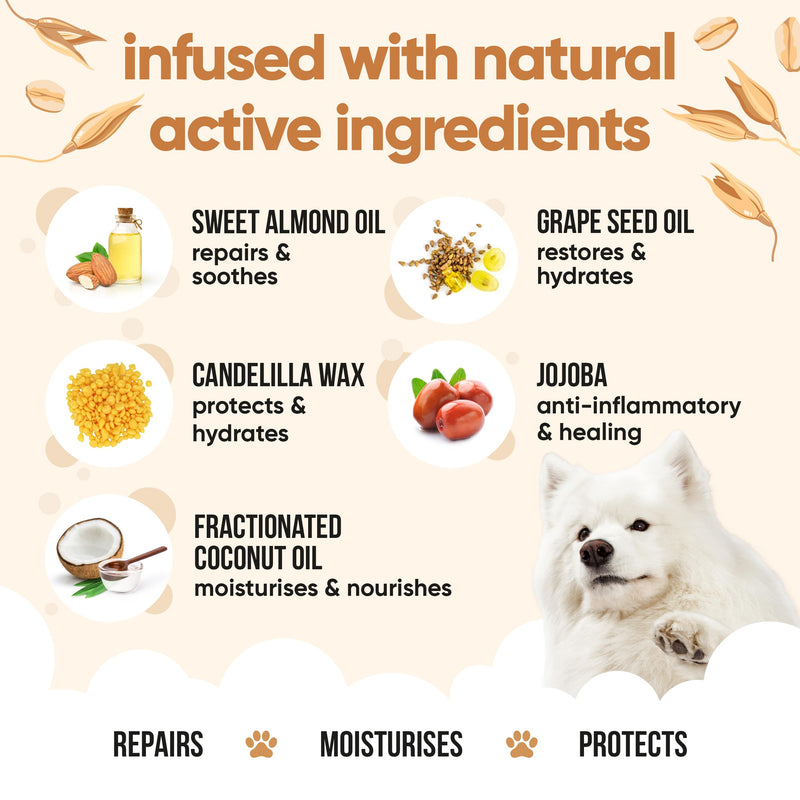 Buddycare Dog Paw & Nose Balm - Oatmeal | Protects & Repairs Dry, Cracked & Chapped Skin | Vegan & Cruelty-Free, Moisturises & Nourishes | Pocket Sized Grooming Accessory