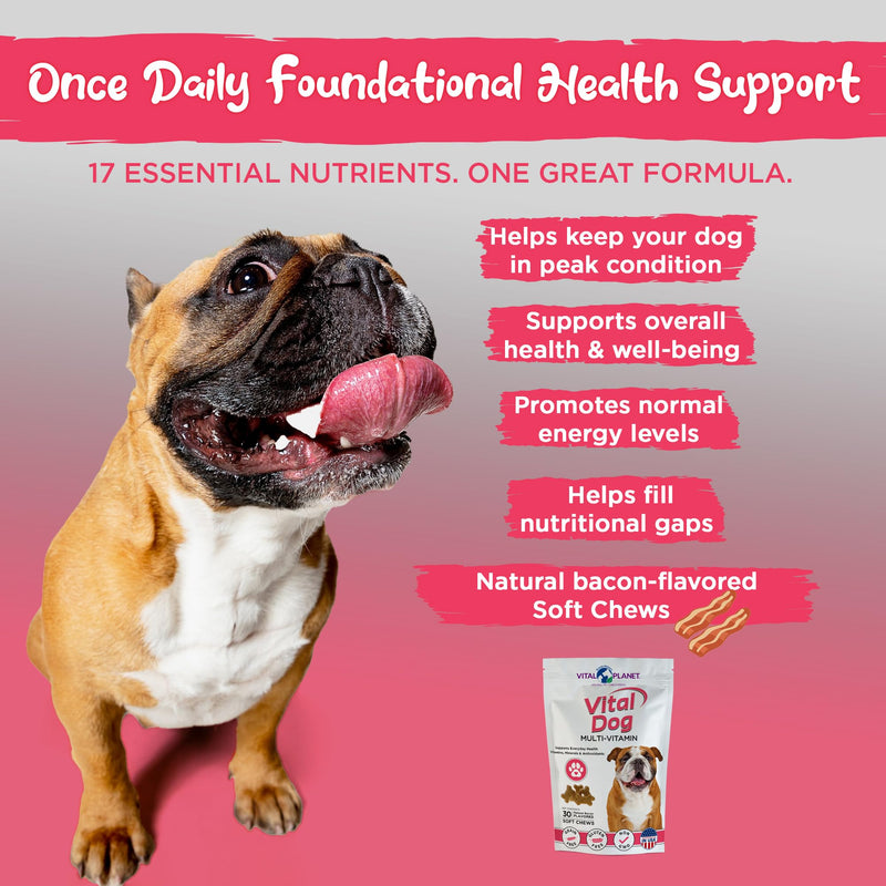 Vital Planet - Vital Dog Multivitamin for Everyday Health with Vitamins, Minerals and Antioxidants - 30 Bacon Flavored Soft Chews - PawsPlanet Australia