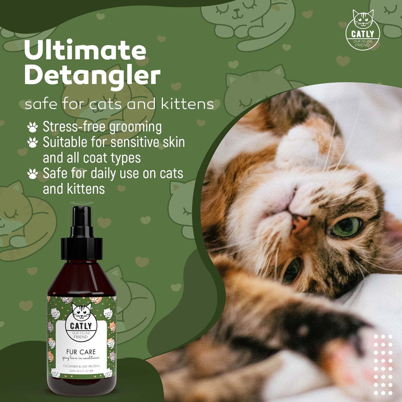 Catly Fur Care - Dry Shampoo For Cats - Ideal Pet Shampoo For Cats: Cat Shampoo And Conditioner & Kitten Shampoo, Effective Cat Dry Shampoo Spray & Cat Detangler Spray with Aloe Vera & Oat, 250ml - PawsPlanet Australia
