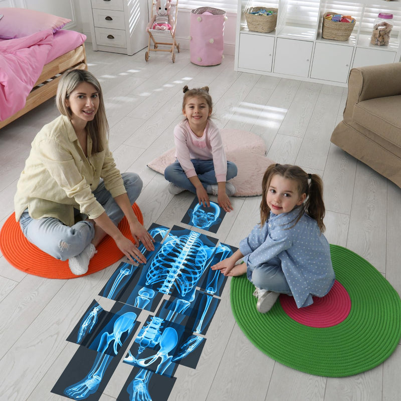 16 Pieces Human X Rays Bones X Rays Human Xrays for Kids Human Bones Body Display Play Table (Blue) Blue