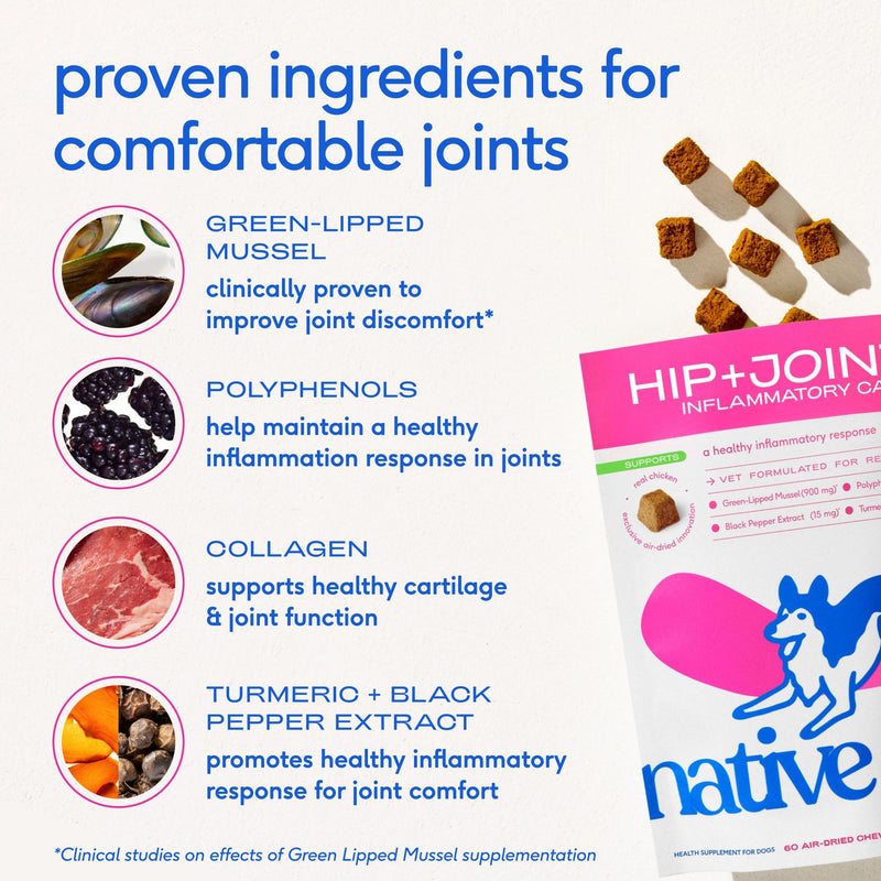 Native Pet Health & Mobility Bundle: Relief Chews for Dogs (120 Air-Dried Chews) & The Daily Dog Multivitamins (60 Scoops) Anti-Inflammatory for Strong Joints & 11-in-1 Multivitamin for Pups
