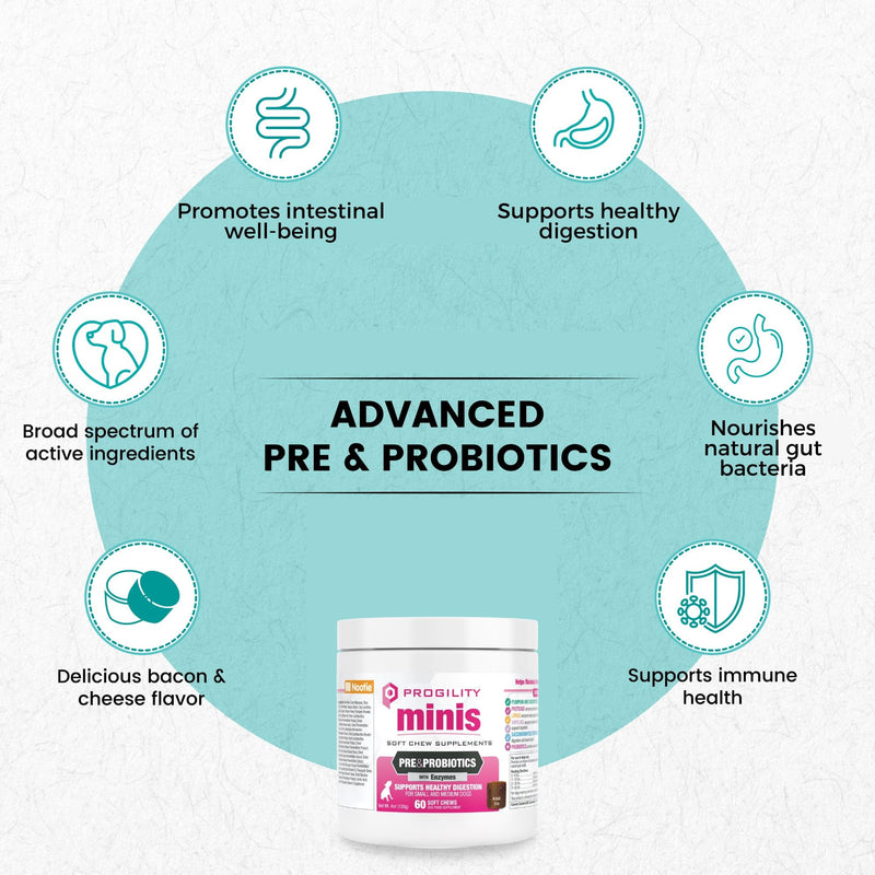 Nootie Progility Mini Pre & Probiotic Supplement, Digestive Aid Supplement for Dogs, 60 Soft Chews per Container 60 Mini Soft Chews