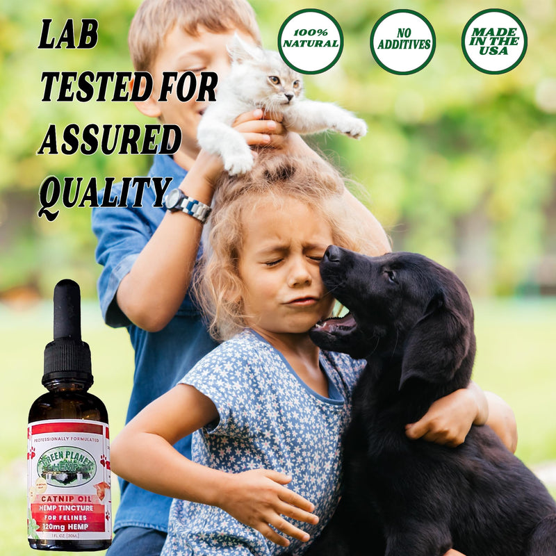 Pet Hemp Oil | Catnip Oil | Dogs and Catsl | Aids with Anxiety, Stress, Pain, Hip, Joint, and Muscle Support for Young to Senior Pets | 120MG Organic Hemp | 100% Natural | Green Planet Hemp
