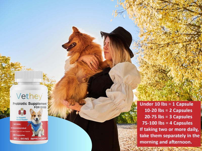 Probiotic Supplement for Dogs,Kidney Health Supplement for Dogs & Cats - NO Refrigeration Required - Help Support Kidney Function & Manage Renal Toxins - 32 Billion CFU, 100 Capsules