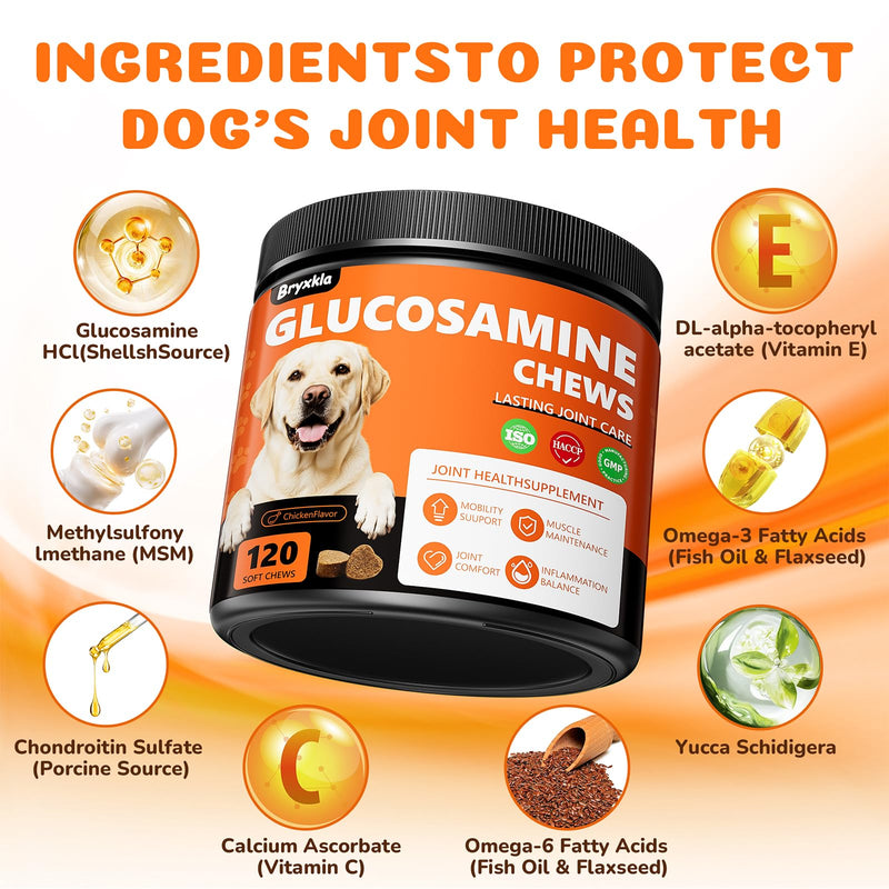 Dogs Joint Health Supplement - Glucosamine, Chondroitin, MSM, Omega 3 - Hip & Joint Pain Relief Soft Chews for All Breeds and Sizes, Chicken Flavor - 120 Count
