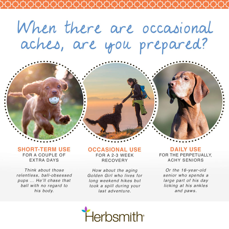 Herbsmith Comfort Aches – Herbal Pain Relief for Dogs + Cats – For Pet Aches + Pains – Anti-Inflammatory Supplement – 75g Powder - PawsPlanet Australia