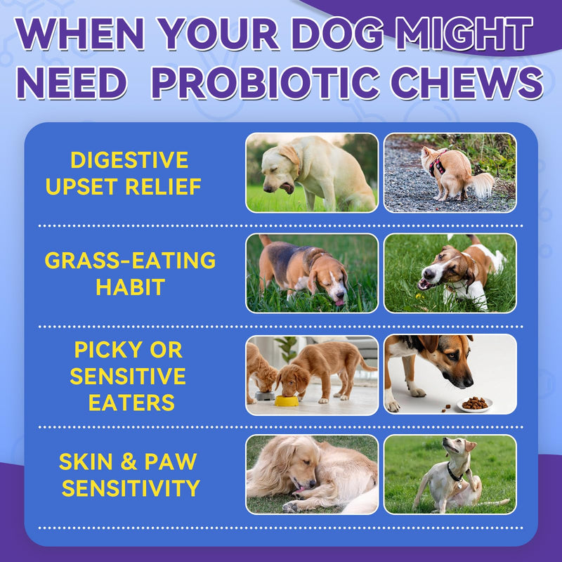 Cat & Dog Digestive Support Chews Bundle, Cat Hairball Support Treats with Krill & Chicken Flavor + Dog Probiotics Chews with Triple Probiotics & Prebiotics for Digestion, Immunity & Skin Care