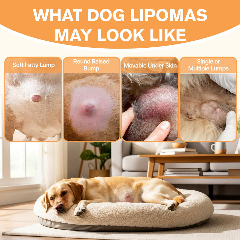 Lipoma Treatment for Dogs, Guard for Dogs Lumps and Bumps, Helps Shrink Fatty Tumors Naturally, Reduces Lipomas inDogs with L-Carnitine & Antioxidants, Supports Fat Metabolism, Vitality, Longevity