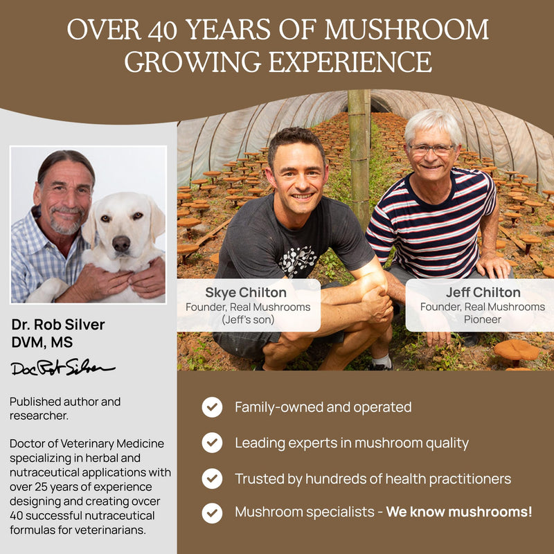 Real Mushrooms Lion’s Mane Pet Mushroom Supplement – Pet Wellbeing Capsules – for Cat & Dog Supplement & Vitamins – Support Mindful Routines – Organic, Vegan, Non-GMO, 120 Count Capsule