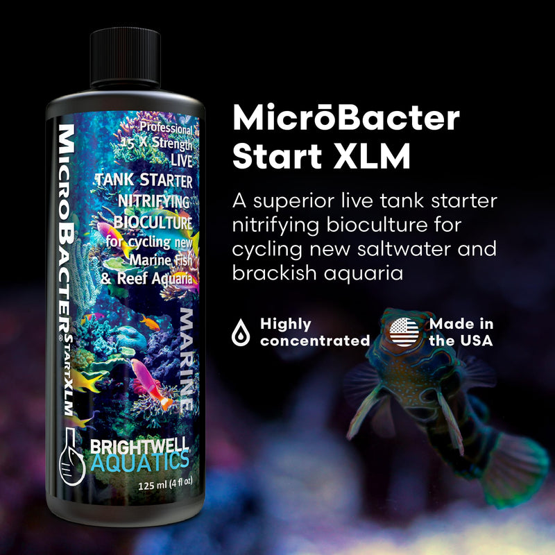 Brightwell Aquatics MicroBacter Start XLM - Concentrated Freshwater Nitrifying Bacteria - Quick Start Fish Tank Starter, Lift Microbe Levels & Water Filtering - Aquarium Water Treatments, 4.22 fl oz 125-ML