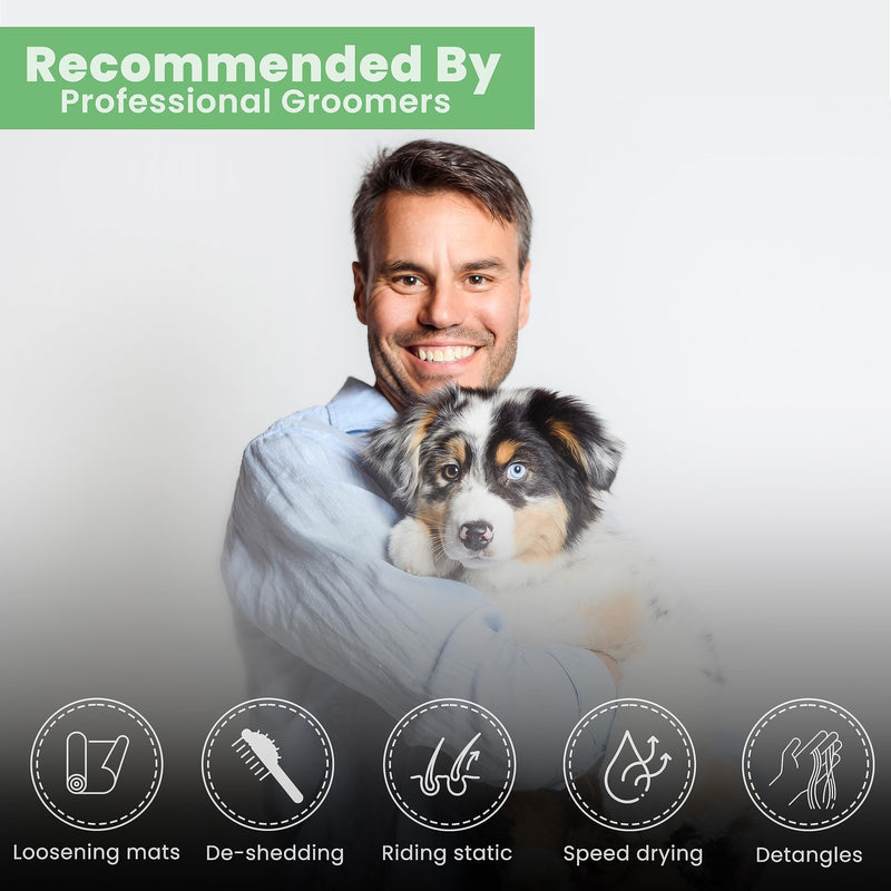 Best Shot One Shot Deodorizing Shampoo, Coat and Skincare Product for Dogs, Cats, and Horses, Eliminates Foul Odors, De-Skunk, Ready-to-Use, 16 Oz. - PawsPlanet Australia