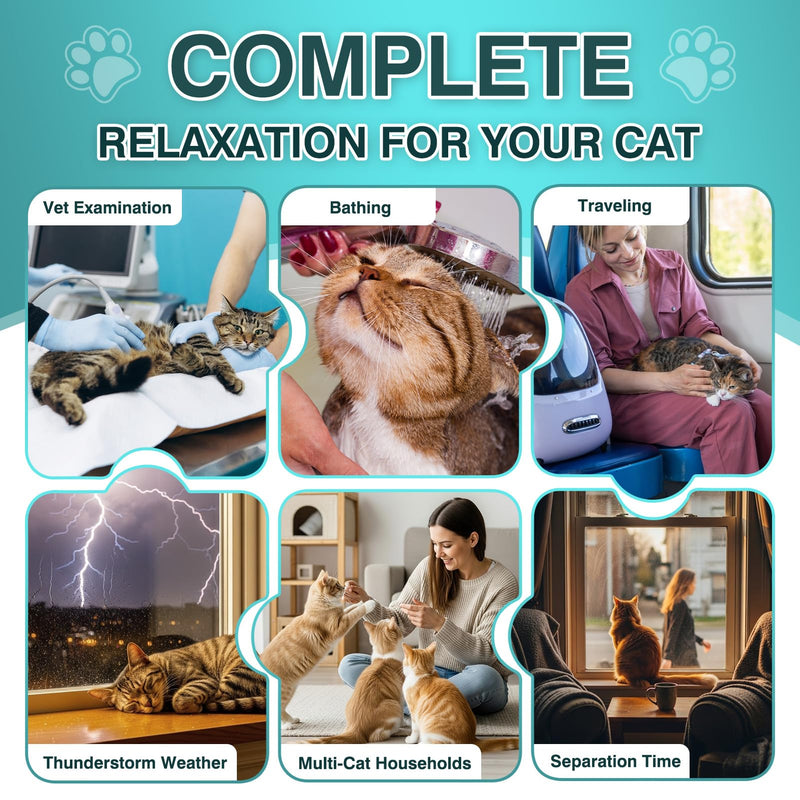 Cat Calming Treats, 140 Soft Chews to Relieve Anxiety, Stress & Prevent Bites, Perfect for Travel & Veterinary Visits, Soothing Calming Care for Indoor Cats Chicken Flavor 7.41 OZ