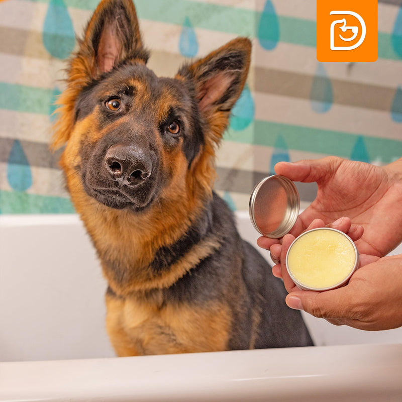 3-in-1 Paw Balm & Deodorizer Spray - Between Baths Bundle for Pets | Moisturizing Balm for Cracked Skin (2oz) & Long-Lasting Piña Colada Odor Eliminator (8oz) for Dogs & Cats Pina Colada - PawsPlanet Australia