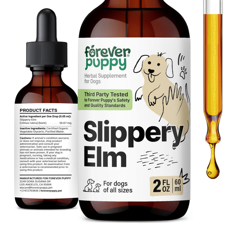 Forever Puppy Slippery Elm Tincture for Dogs - Digestive & Gut Support with Slippery Elm Bark Drops - Soluble Fiber for Dogs of All Breeds & Sizes - Liquid Vitamins and Supplements - 2 fl oz