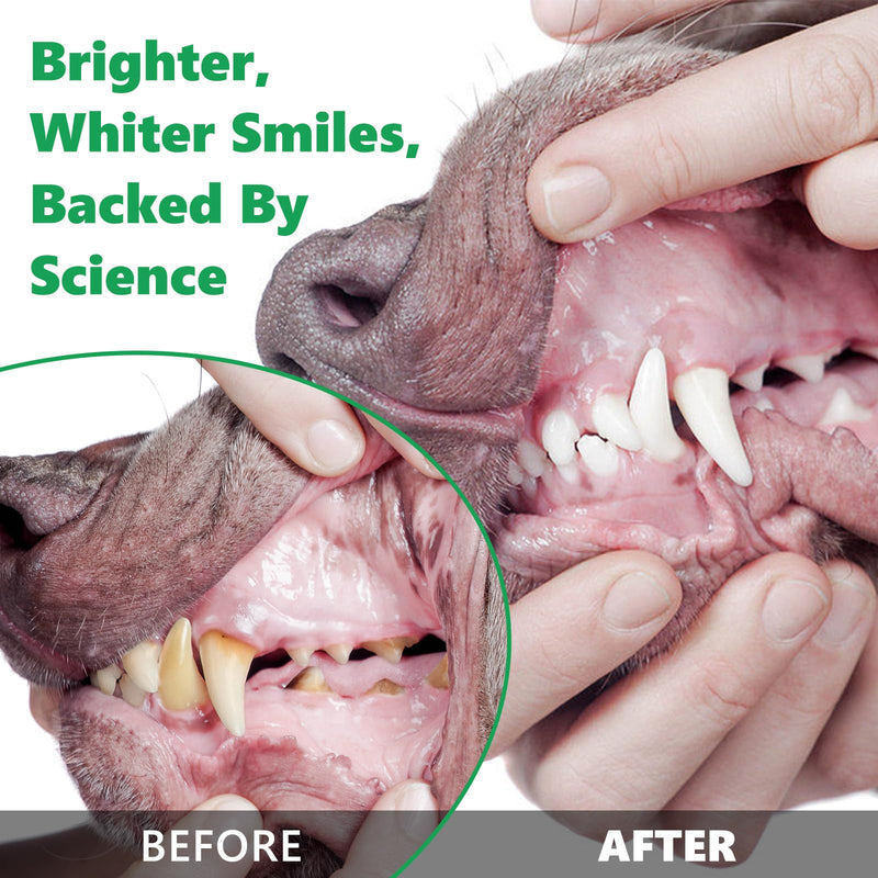 Teeth Cleaning Powder for Dogs, Dog Breath Freshener, Dental Powder for Dogs Teeth with Probiotics Help Reduce Bad Breath, Plaque Tartar Remover, Dog Teeth Powder for Small, Medium, Large Dogs 30g 1.06 Ounce (Pack of 1)