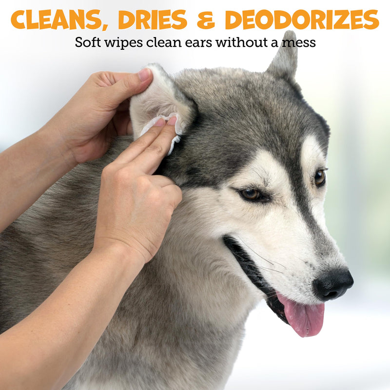 Pack Approved Advanced Ear Wipes for Dogs & Cats with Aloe Vera - Gentle, Non-Irritating Ear Cleaner for Cats and Dogs - Helps Deodorize and Remove Ear Wax - Cucumber Melon Scent (100 Wipes) Regular Wipes