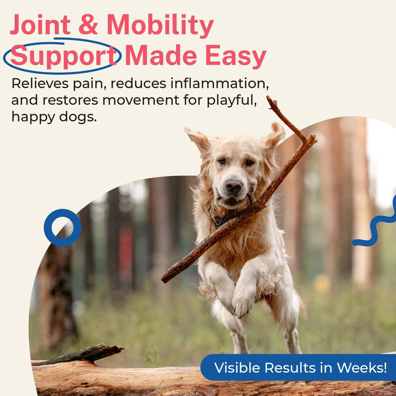 Glucosamine for Dogs - Hip & Joint Support Powder with Chondroitin & MSM - Arthritis Pain Relief, Hip Dysplasia Treatment - 800mg Glucosamine - 45 Scoops 3.9 oz - PawsPlanet Australia