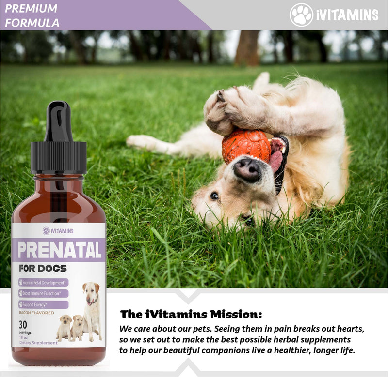 Dog Prenatal Vitamins | Prenatal Vitamins for Dogs | Includes Vitamin B Complex & Vitamin C | Dog Essentials | Whelping Supplies | Prenatal Dog Vitamins | Prenatal for Dogs | 1 Pack: 30 Servings - PawsPlanet Australia
