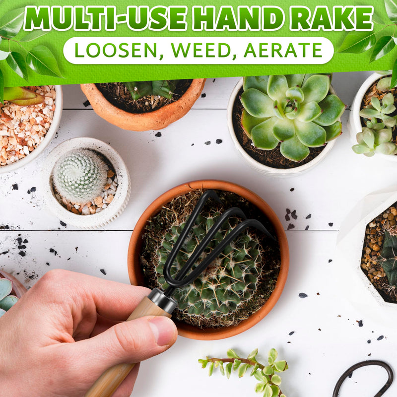 Mini Garden Tools - 3Pcs Indoor Plant Tools Set Indoor Gardening Tools Small Garden Shovel Mni Rake Small Gardening Tools Set Hand Rake Gardening Spade Gardening Supplies Indoor Garden Trowels 3 Pcs