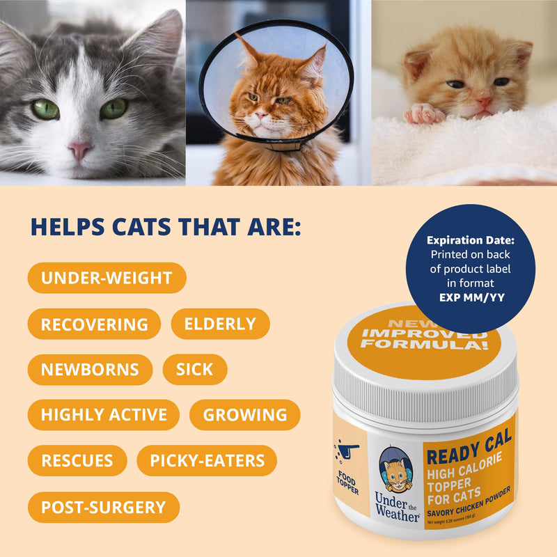 Under the Weather Ready Cal Powder for Cats | High-Calorie Weight Gainer & Appetite Stimulant | Cat Energy Booster Veterinarian-Approved Pet Supplement with Vitamins & Minerals | Chicken Flavor For Cats - Ready Cal Powder
