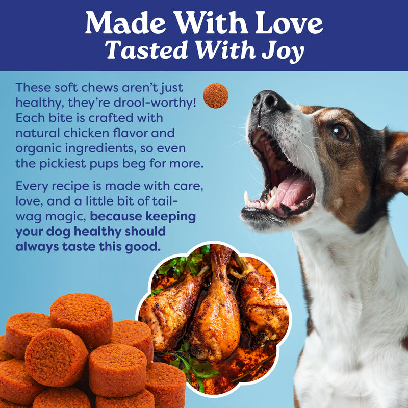 Furrever Young Soft Chews – Senior Dog Healthy Aging Supplement with Antioxidants for Mobility, Immune Health & Cognitive Support – Natural Senilife Alternative (90 Count)