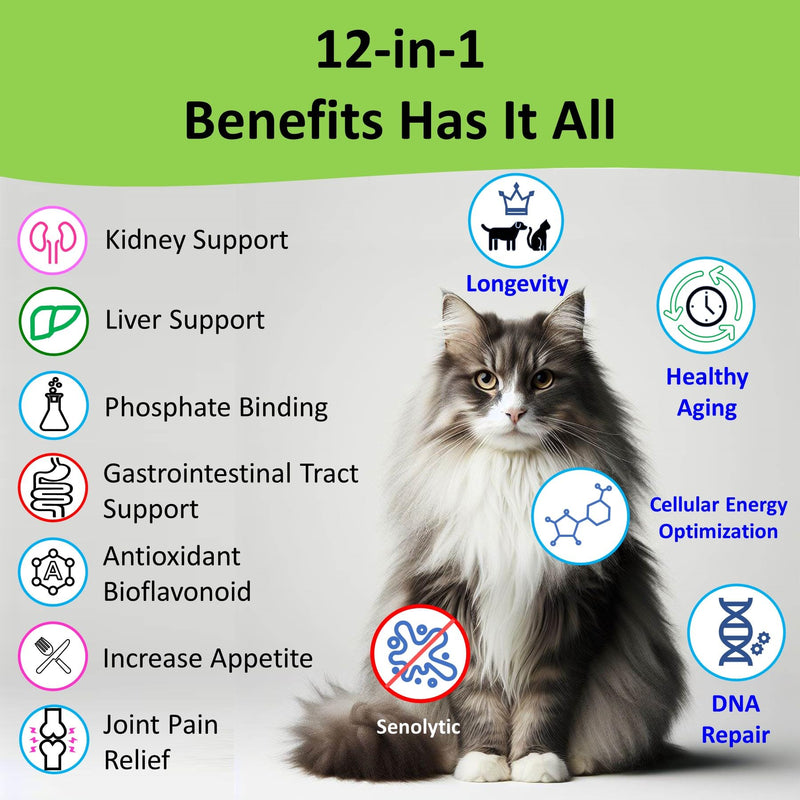 12-in-1 Kidney Support for Dog & Cat with NMN & Fisetin - Super Phosphate Binder Kidney and Liver Supplement for Feline, Canine Healthy Aging & Longevity (60 Capsules) 60 Capsules - PawsPlanet Australia