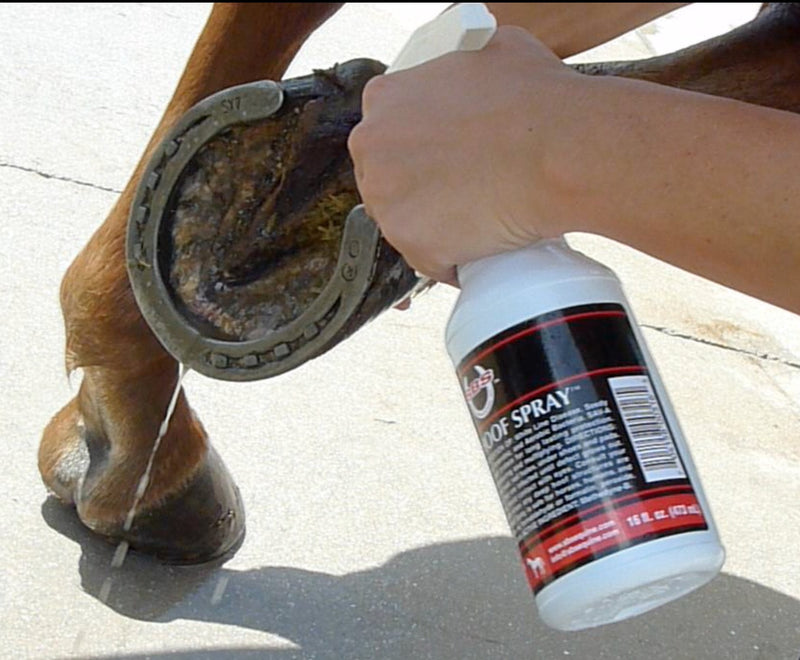 SBS Equine Item 316 hoof Treatment, 16 fl. oz. Spray - PawsPlanet Australia