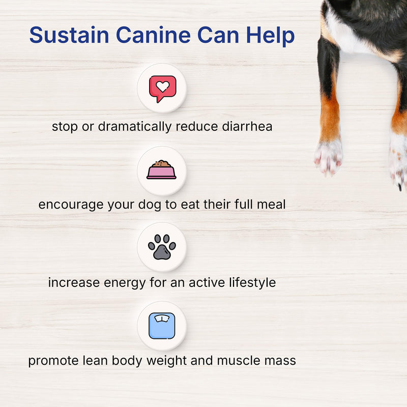 Sustain Canine Recovery Food for Dogs 100 g - PawsPlanet Australia