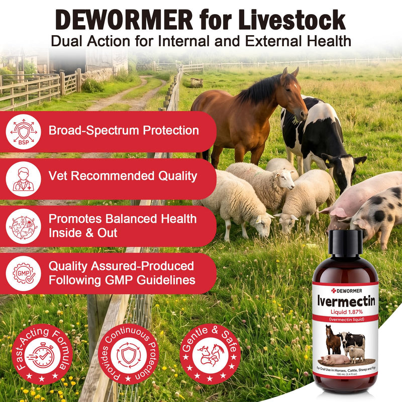 Dewormer, Liquid Formula, for Roundworms, Pinworms, and Others, 3.4 fl oz