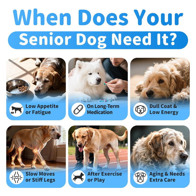 Senior Dog Liver & Joint Supplement – Same, Milk Thistle (Silybin), Glucosamine, MSM for Liver Health Detox, Mobility, Joint Pain Relief, Cognitive & Vitality Support, Chicken Flavor, 90Ct 90 Count (Pack of 1)