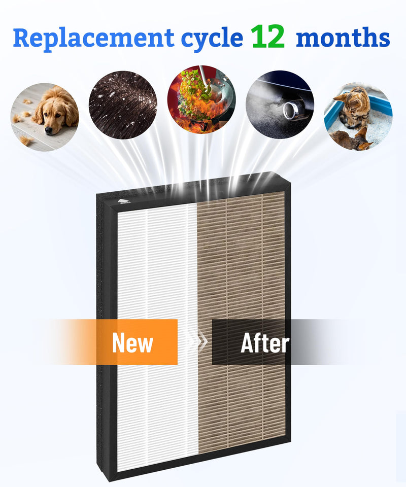 C3500 Replacement Filters Compatible with LUFTRUM C3500, 2 Counts