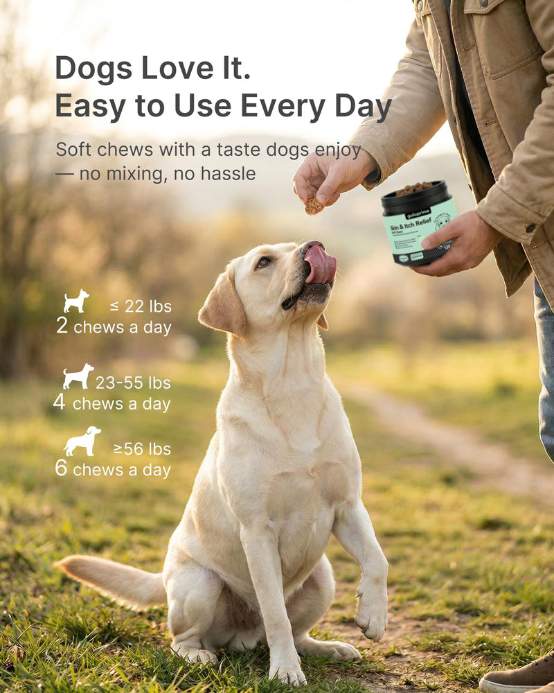 Dog Itch Relief Chews for Dogs – Itchy Paws & Paw Licking Support, Anti Itch Soft Chews for Itchy Skin, Daily Skin & Coat Supplement, 120 Chews Chicken