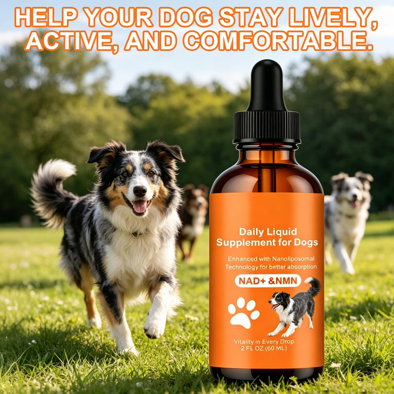 Dog Longevity Supplement with NMN, NAD+, CoQ10 & Resveratrol - Supports Joint Health, Vitality & Healthy Aging - 60-Day Nanoliposomal Drops for Better Absorption