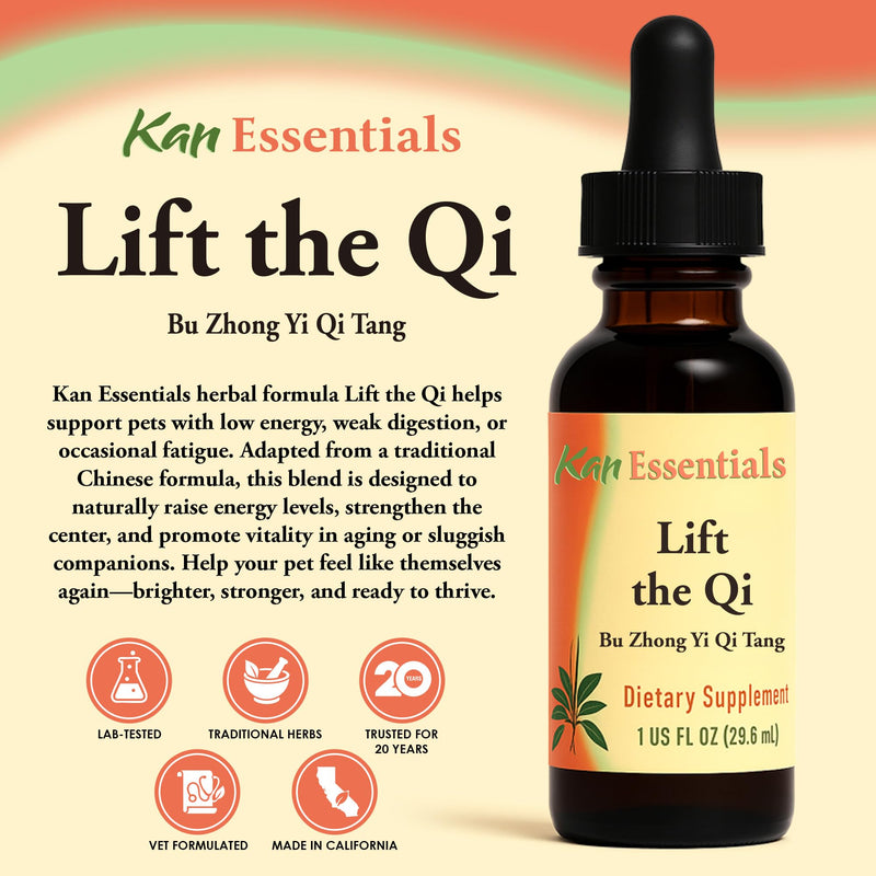 Kan Herb Company Lift the Qi – Traditional Chinese Herbal Blend for Dogs and Cats to Support Energy, Vitality, Digestion, and Overall Wellness, Liquid Herbal Supplement for Pets, 1 fl oz