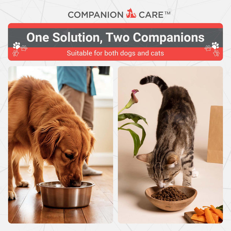 Pancreatic Enzymes for Dogs & Cats – High-Strength, Low-Odor (Acetone-Free), Porcine-Derived Powder Digestive Supplement for Dogs & Cats – Made in the USA (5.9oz, 168g)
