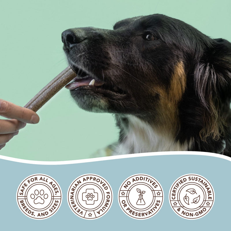 Natural Dog Company Premium Dog Dental Chews, Natural Dental Sticks to Clean Teeth and Freshen Breath, Helps Control Plaque and Tartar Treats for All Breeds and Sizes, Made in USA, 18 Count - PawsPlanet Australia