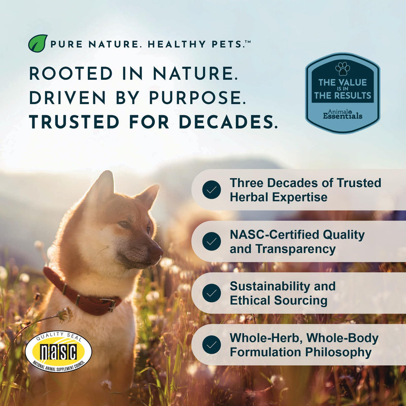 Animal Essentials Sea-Dent for Dog Teeth - Dental Powder for Dogs & Cats Teeth & Gums, Natural Oral Formula for Plaque & Tartar, Bad Breath Oral Freshener & Cleaner - 1.76 oz