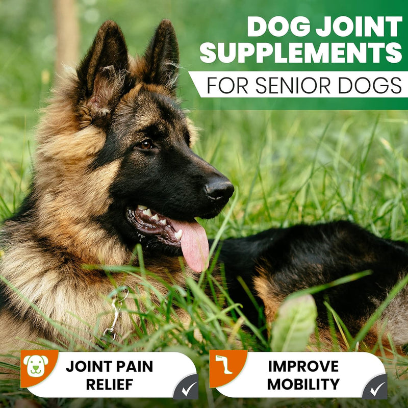 Turmeric for Dogs – 180 Chewable Tablets – Hip and Joint Support with Curcumin & Piperine – Joint Supplement, Anti Inflammatory & Mobility Support, Allergy & Itch Relief - Duck Flavor with Salmon Oil