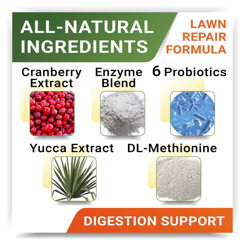 StrellaLab Grass Restore Treats for Dogs - Dog Pee Lawn Repair Chew Probiotics + Digestive Enzymes, Cranberry - Dog Urine Neutralizer for Grass Burn Spots - Health & Wellness Supplements for Dog