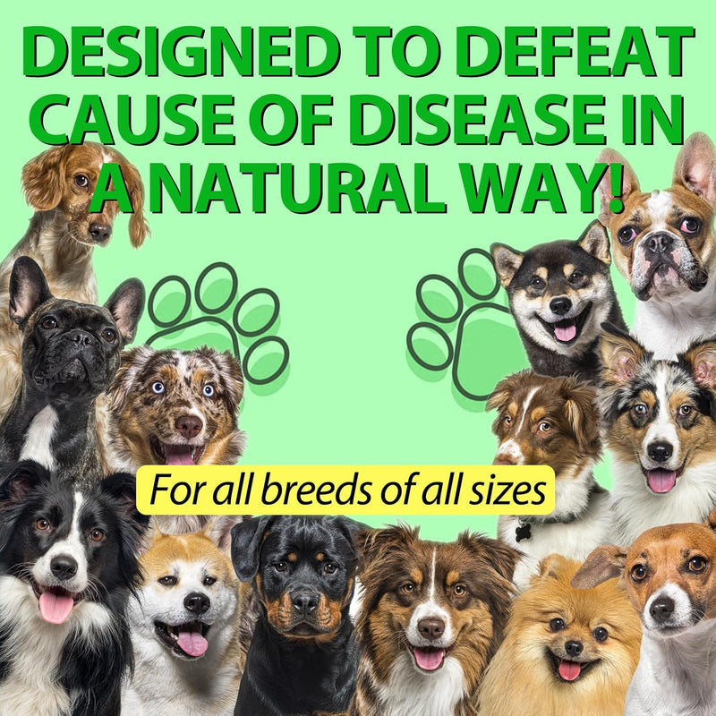 Antibiotics for Dogs | Natura Antibiotics for Dogs | Dietary Supplement Pet Antibiotic | Dog Vitamins and Supplements | Dog Antibiotic | 2 Oz