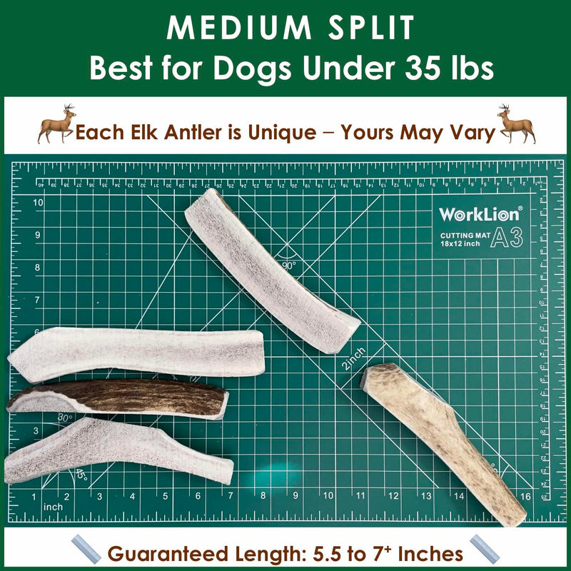 4 Medium Split Elk Antler Dog Chews and Omega 3 Fish Oil Bundle for Dogs Supporting Chewing Coat and Joint Health