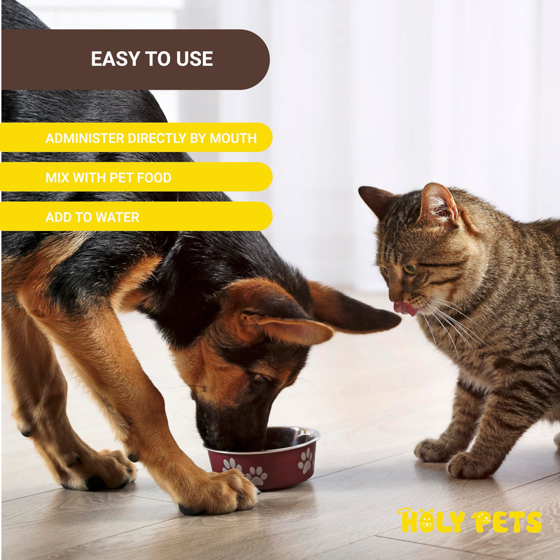 Cough Medicine for Dogs & Cats, Respiratory Infection Support - Sneezing Relief & Kennel Cough Treatment - Pet Asthma Support - Made with Natural Ingredients in The USA - NewNest Australia