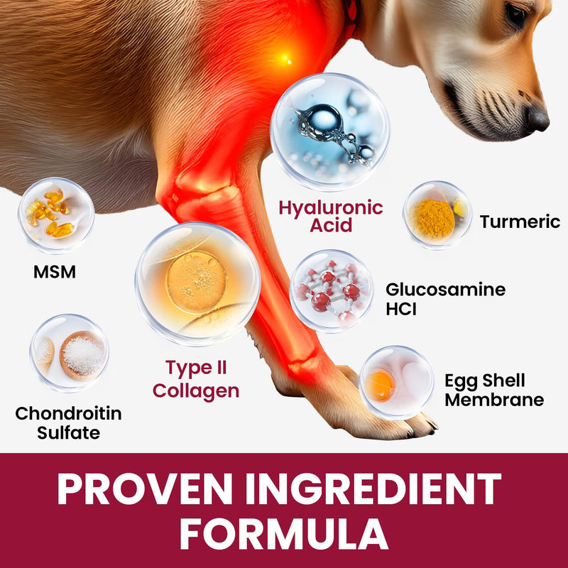 Glucosamine for Dogs Hip and Joint Supplement Chews & Probiotics for Dogs - Dog Probiotics with 5 Enzymes & 4 Prebiotics