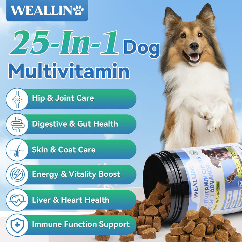 Cat Hairball Support Chewable + 25-in-1 Dog Multivitamin Chews Bundle - Hairball Control & Digestion Support for Cats, Complete Daily Vitamins for Dogs with Glucosamine, Probiotic