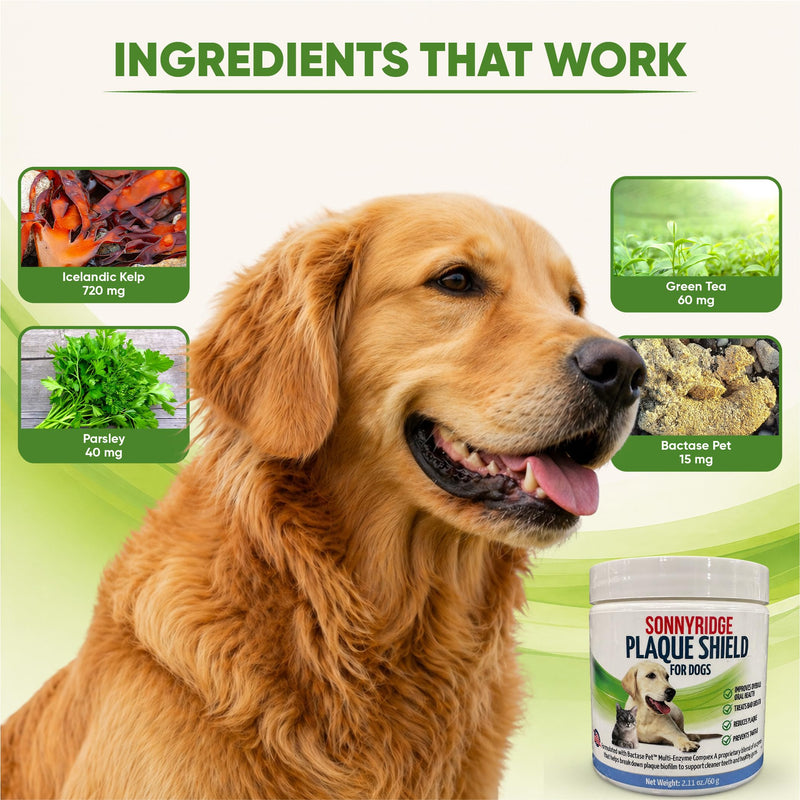 Dog Dental Powder for Dogs & Cats – Bactase Pet™ Enzymes, Astaxanthin & Ascophyllum Nodosum – Helps Reduce Plaque & Tartar, Freshens Breath & Supports Healthy Gums– Made in USA– 30 Servings