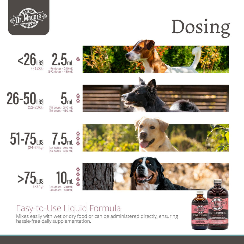 Dr. Maggie Joint Formula for Dogs and Cats with MSM, Glucosamine, and Chondroitin | 240 ml