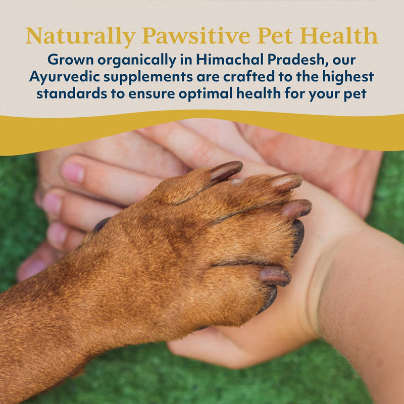 Ayush Pet Stress Support Ashwagandha Drops, Calm and Focus for Dogs or Cats, Alcohol Free Supplement, 2 oz.