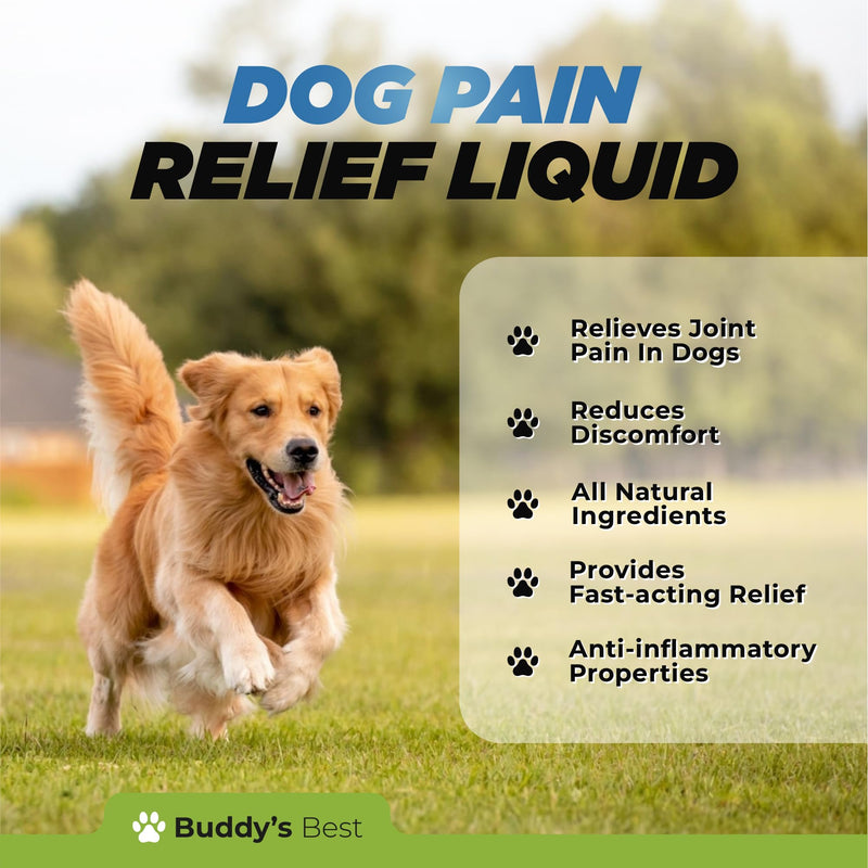 Dog Pain Relief Liquid - Natural, Fast-Acting Formula for Joint Pain and Inflammation, Made with Organic Ingredients, Safe for All Breeds - PawsPlanet Australia