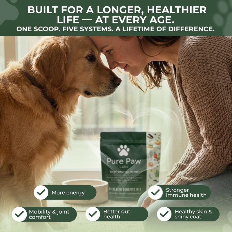 DA-1 Daily All-in-One Dog Supplement Powder | Dog Multivitamin with Probiotics for Gut Health | Supports Skin & Coat, Joints, Allergies & Immune Health | Human Grade Formula